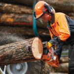 Lärm- und Schallschutz ist bei Forstarbeiten unabdingbar