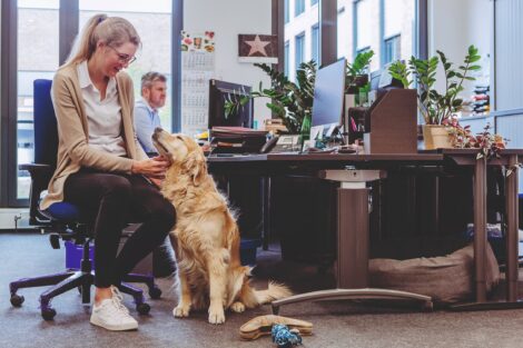 Bürohunde können zur Gesundheit und Motivation der Beschäftigten beitragen.