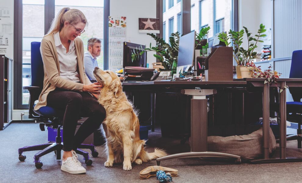 Bürohunde können zur Gesundheit und Motivation der Beschäftigten beitragen.