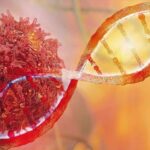 Krebszellen und Mutationen im Erbgut gehören zu den gefürchteten Spätfolgen einer Belastung durch Gefahrstoffe
