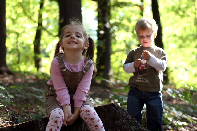 Mit Kindern im Wald