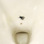 Urinal_etched_with_fly_for_aiming