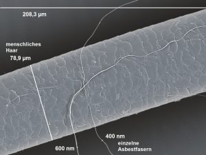 Vergleich menschliches Haar mit Asbestfaser